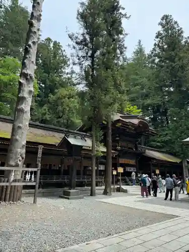 諏訪大社下社春宮の本殿・本堂