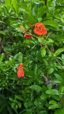 海印寺寂照院(京都府)