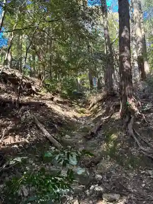 泰仙寺(徳島県)