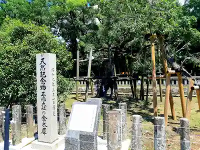 三嶋大社のその他建物