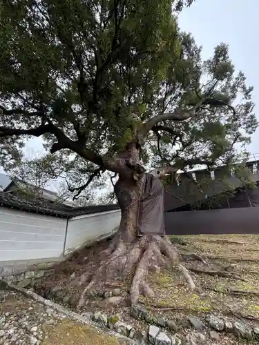 青蓮院門跡(京都府)