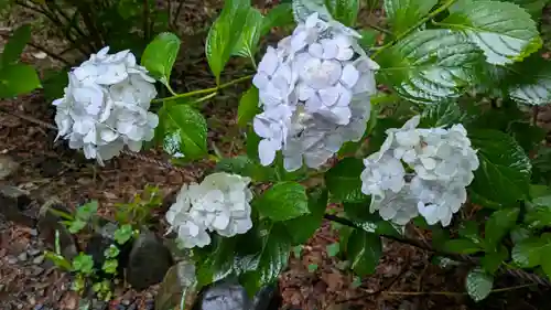 真正極楽寺（真如堂）(京都府)