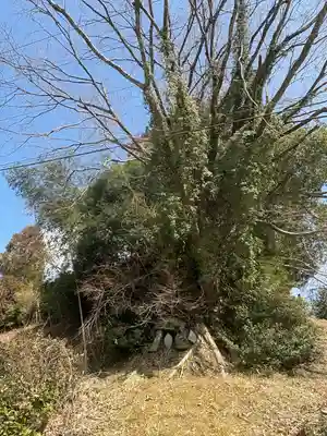 新田神社(愛媛県)