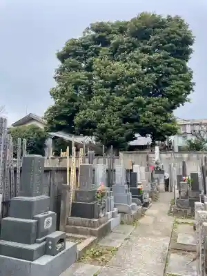 本光寺の{uncategorized: "未分類", other: "その他", undefined: "問題あり", building: "その他建物", grave: "お墓", sacred_gate: "鳥居", guardian: "狛犬", statue: "像", buddha: "仏像", history: "歴史", nature: "自然", garden: "庭園", animal: "動物", pagoda: "塔", temizu: "手水舎", mountain_gate: "山門・神門", sanctuary: "本殿・本堂", subordinate: "末社・摂社", art: "芸術", scenery: "景色", jizo: "地蔵", ema: "絵馬", goshuin: "御朱印", omikuji: "おみくじ", items: "授与品その他", amulet: "お守り", goshuincho: "御朱印帳", eats: "食事", festival: "お祭り", votive_dance: "神楽", shichigosan: "七五三参", wedding: "結婚式", experience: "体験その他", initially: "初詣", around: "周辺", anti_infection: "感染症対策"}