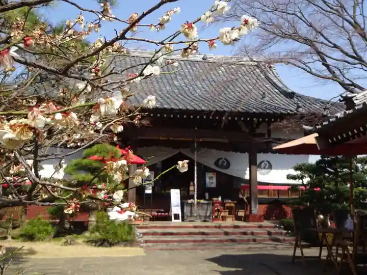 法輪寺の本殿・本堂