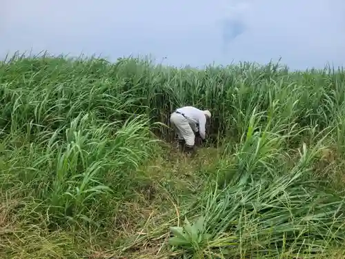 伏木香取神社(茨城県)