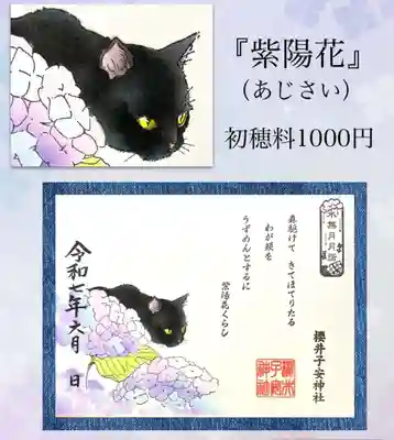 紫陽花