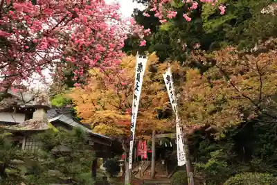 鹿島大神宮のお祭り