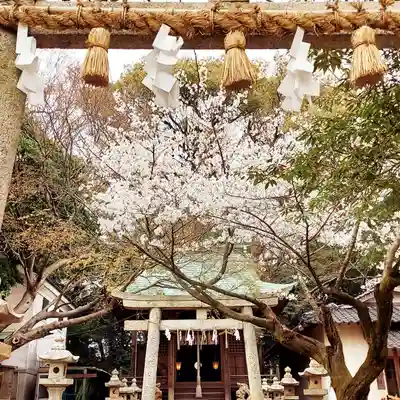 忌宮神社(山口県)