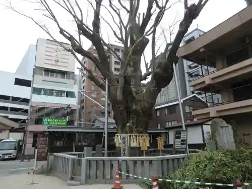 櫛田神社(福岡県)