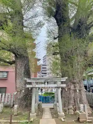 出世稲荷神社の{uncategorized: "未分類", other: "その他", undefined: "問題あり", building: "その他建物", grave: "お墓", sacred_gate: "鳥居", guardian: "狛犬", statue: "像", buddha: "仏像", history: "歴史", nature: "自然", garden: "庭園", animal: "動物", pagoda: "塔", temizu: "手水舎", mountain_gate: "山門・神門", sanctuary: "本殿・本堂", subordinate: "末社・摂社", art: "芸術", scenery: "景色", jizo: "地蔵", ema: "絵馬", goshuin: "御朱印", omikuji: "おみくじ", items: "授与品その他", amulet: "お守り", goshuincho: "御朱印帳", eats: "食事", festival: "お祭り", votive_dance: "神楽", shichigosan: "七五三参", wedding: "結婚式", experience: "体験その他", initially: "初詣", around: "周辺", anti_infection: "感染症対策"}