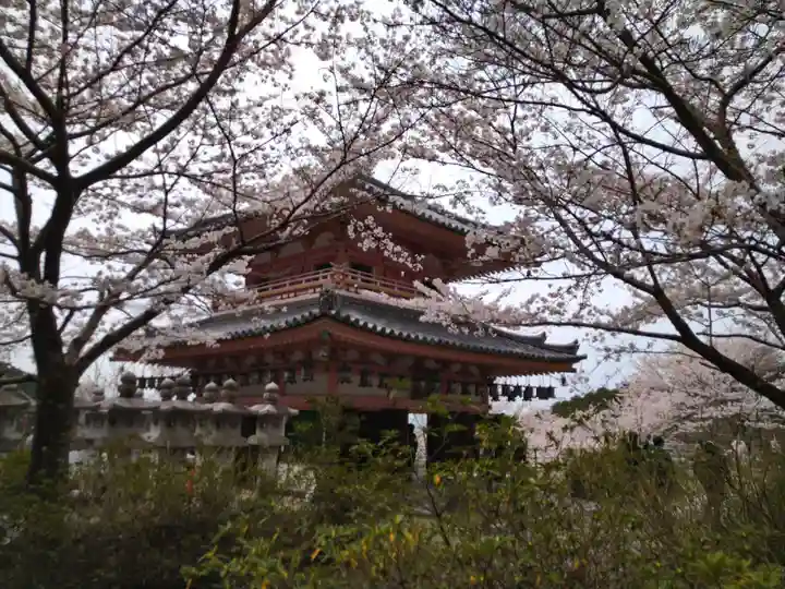 南法華寺(壷阪寺)(奈良県)