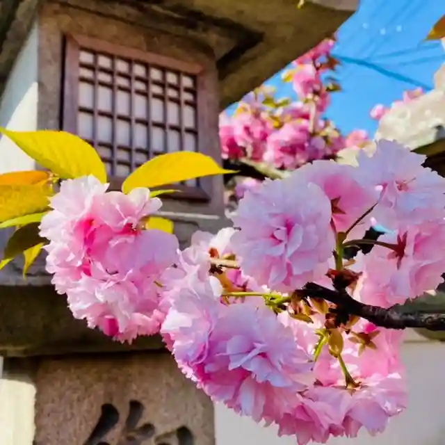 御霊神社の自然