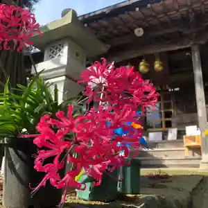 高司神社〜むすびの神の鎮まる社〜(福島県)(2024年11月23日(土) 14時29分09秒投稿)