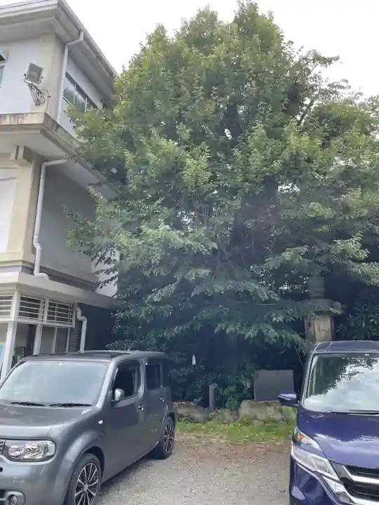 深澤神社の自然