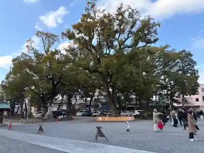 川原神社の{uncategorized: "未分類", other: "その他", undefined: "問題あり", building: "その他建物", grave: "お墓", sacred_gate: "鳥居", guardian: "狛犬", statue: "像", buddha: "仏像", history: "歴史", nature: "自然", garden: "庭園", animal: "動物", pagoda: "塔", temizu: "手水舎", mountain_gate: "山門・神門", sanctuary: "本殿・本堂", subordinate: "末社・摂社", art: "芸術", scenery: "景色", jizo: "地蔵", ema: "絵馬", goshuin: "御朱印", omikuji: "おみくじ", items: "授与品その他", amulet: "お守り", goshuincho: "御朱印帳", eats: "食事", festival: "お祭り", votive_dance: "神楽", shichigosan: "七五三参", wedding: "結婚式", experience: "体験その他", initially: "初詣", around: "周辺", anti_infection: "感染症対策"}