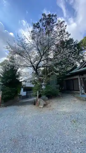 白髭神社の{uncategorized: "未分類", other: "その他", undefined: "問題あり", building: "その他建物", grave: "お墓", sacred_gate: "鳥居", guardian: "狛犬", statue: "像", buddha: "仏像", history: "歴史", nature: "自然", garden: "庭園", animal: "動物", pagoda: "塔", temizu: "手水舎", mountain_gate: "山門・神門", sanctuary: "本殿・本堂", subordinate: "末社・摂社", art: "芸術", scenery: "景色", jizo: "地蔵", ema: "絵馬", goshuin: "御朱印", omikuji: "おみくじ", items: "授与品その他", amulet: "お守り", goshuincho: "御朱印帳", eats: "食事", festival: "お祭り", votive_dance: "神楽", shichigosan: "七五三参", wedding: "結婚式", experience: "体験その他", initially: "初詣", around: "周辺", anti_infection: "感染症対策"}