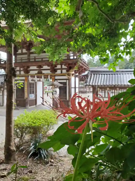 沙沙貴神社の庭園