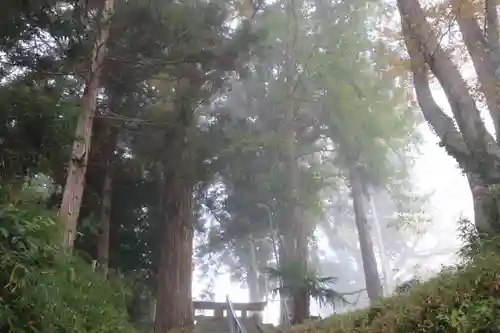 阿久津「田村神社」（郡山市阿久津町）旧社名：伊豆箱根三嶋三社の景色