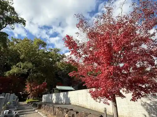 伊勢の国 四天王寺(三重県)