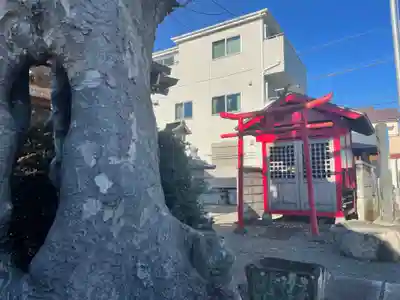 秋葉神社(東京都)