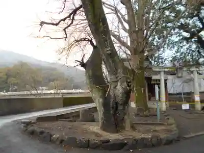 高橋東神社(熊本県)