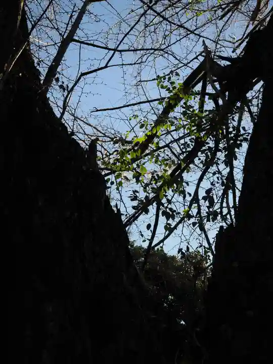 赤坂氷川神社(東京都)