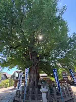 飛騨国分寺(岐阜県)