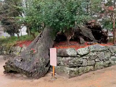 與止日女神社の自然