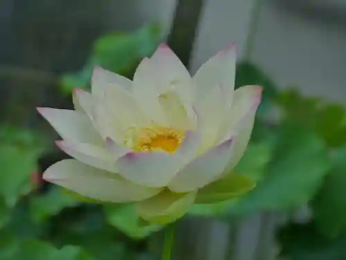 極楽山　浄土寺(北海道)