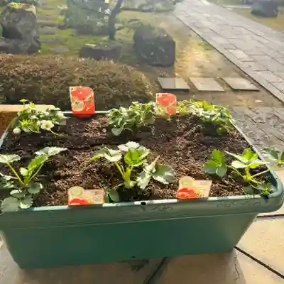 伊勢の国 四天王寺(三重県)