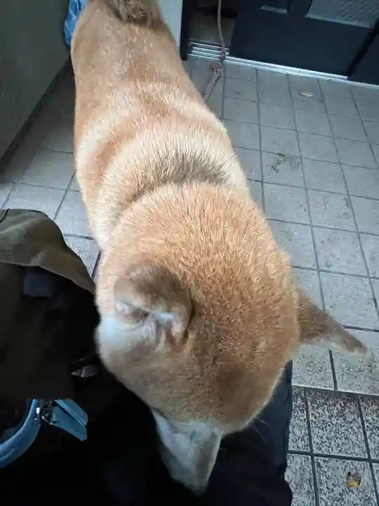 笠䅣稲荷神社(神奈川県)