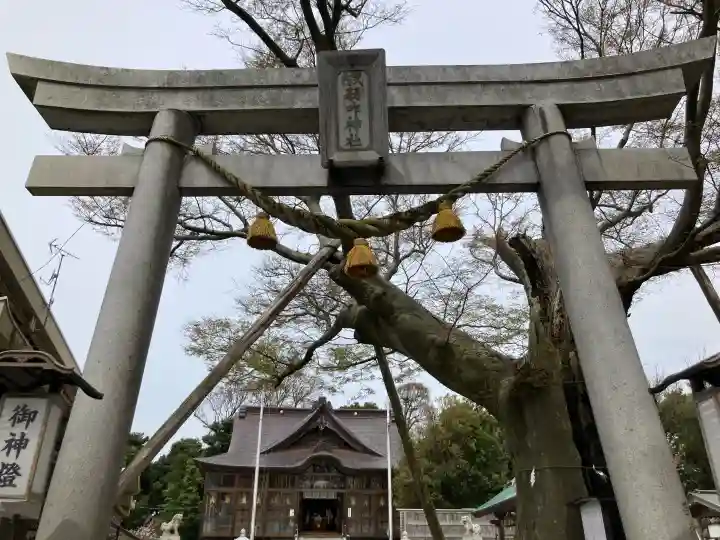 羽咋神社の{uncategorized: "未分類", other: "その他", undefined: "問題あり", building: "その他建物", grave: "お墓", sacred_gate: "鳥居", guardian: "狛犬", statue: "像", buddha: "仏像", history: "歴史", nature: "自然", garden: "庭園", animal: "動物", pagoda: "塔", temizu: "手水舎", mountain_gate: "山門・神門", sanctuary: "本殿・本堂", subordinate: "末社・摂社", art: "芸術", scenery: "景色", jizo: "地蔵", ema: "絵馬", goshuin: "御朱印", omikuji: "おみくじ", items: "授与品その他", amulet: "お守り", goshuincho: "御朱印帳", eats: "食事", festival: "お祭り", votive_dance: "神楽", shichigosan: "七五三参", wedding: "結婚式", experience: "体験その他", initially: "初詣", around: "周辺", anti_infection: "感染症対策"}