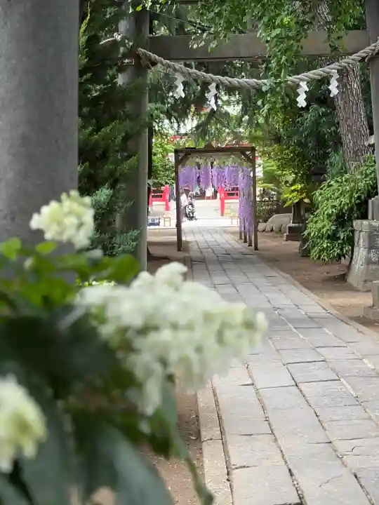 越谷香取神社の{uncategorized: "未分類", other: "その他", undefined: "問題あり", building: "その他建物", grave: "お墓", sacred_gate: "鳥居", guardian: "狛犬", statue: "像", buddha: "仏像", history: "歴史", nature: "自然", garden: "庭園", animal: "動物", pagoda: "塔", temizu: "手水舎", mountain_gate: "山門・神門", sanctuary: "本殿・本堂", subordinate: "末社・摂社", art: "芸術", scenery: "景色", jizo: "地蔵", ema: "絵馬", goshuin: "御朱印", omikuji: "おみくじ", items: "授与品その他", amulet: "お守り", goshuincho: "御朱印帳", eats: "食事", festival: "お祭り", votive_dance: "神楽", shichigosan: "七五三参", wedding: "結婚式", experience: "体験その他", initially: "初詣", around: "周辺", anti_infection: "感染症対策"}