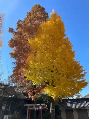 千住本氷川神社(東京都)