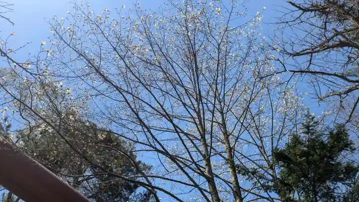 永山神社の自然