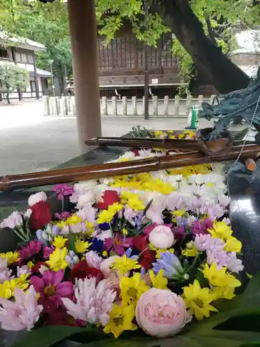 熊野神社の手水