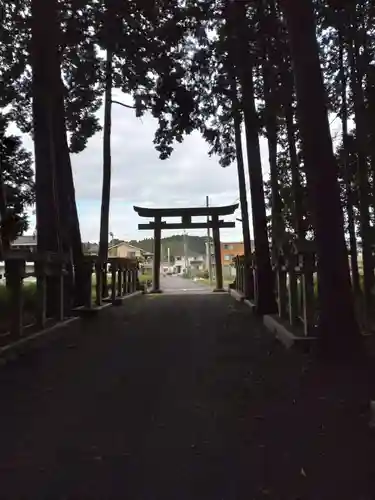 瀧樹神社の鳥居