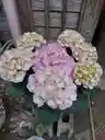 なーこさんのプロフィール画像