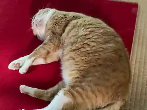 恵林寺(山梨県)