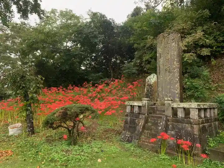 真浄寺(千葉県)
