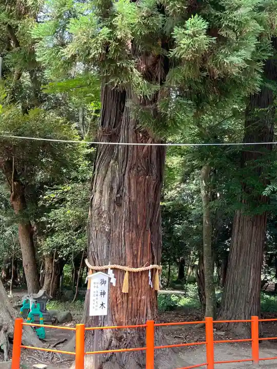 息栖神社(茨城県)