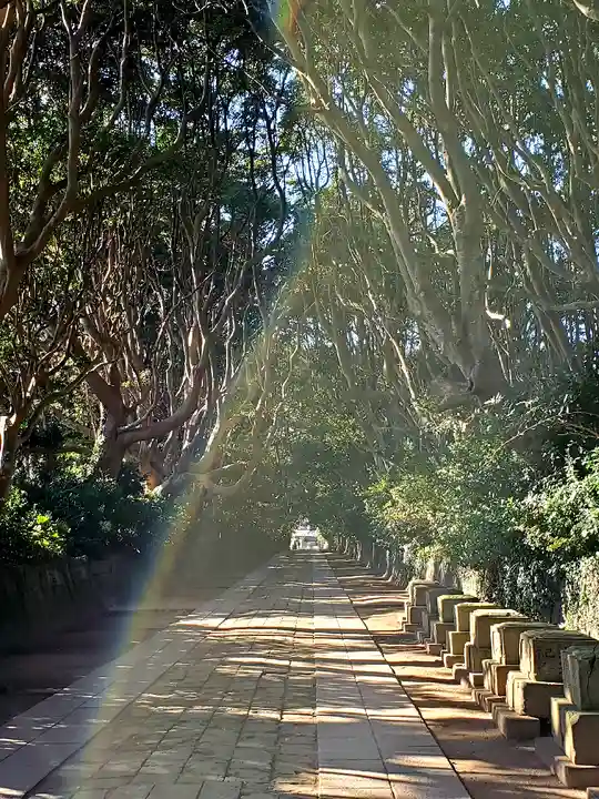 酒列磯前神社の景色