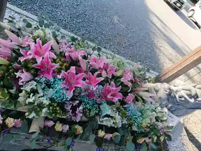大歳神社の手水舎