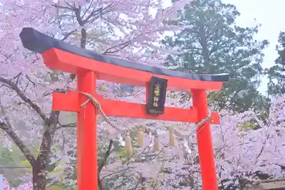 金櫻神社(山梨県)
