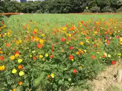 浅草寺の周辺