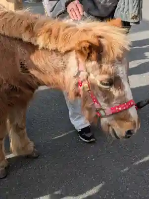 五方山熊野神社(東京都)