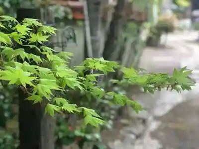 木舟山　順教寺の自然