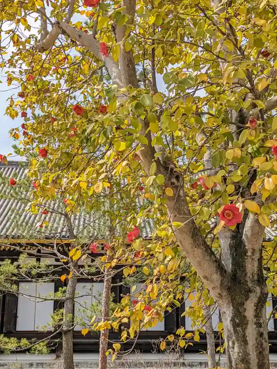 蓮華王院(三十三間堂)(京都府)