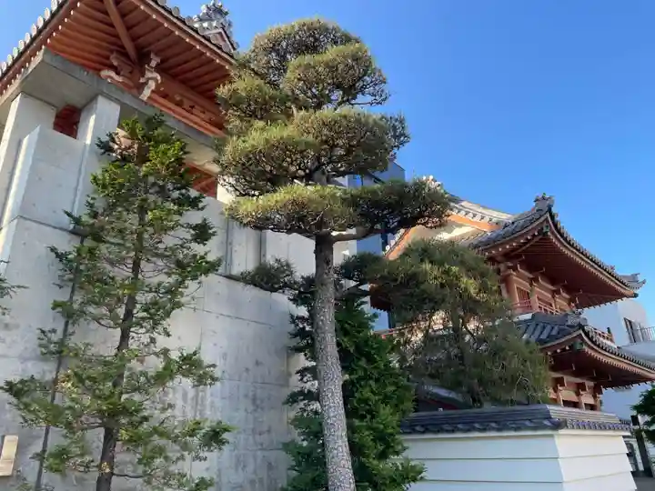 円徳寺(徳島県)